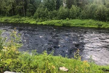 Фото номера Шале с двумя спальнями Шале Oikea vanhanajan mökki koskimaisema, 1,5 h Oulusta г. Пудасъярви 11