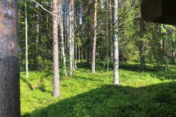 Фото номера Шале с двумя спальнями Шале Oikea vanhanajan mökki koskimaisema, 1,5 h Oulusta г. Пудасъярви 28